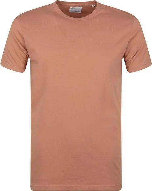 Colorful Standard T-shirt Biologique Marron CS1001-Rosewood 